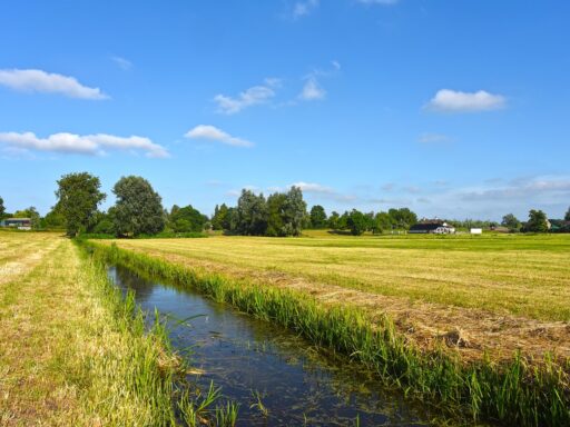 Een Nederlands gezin op de fiets door een groen landschap op een zonnige dag