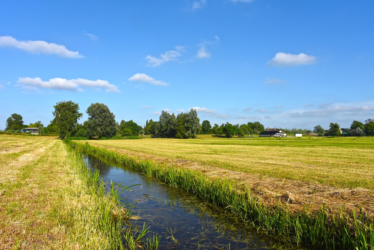 Een Nederlands gezin op de fiets door een groen landschap op een zonnige dag